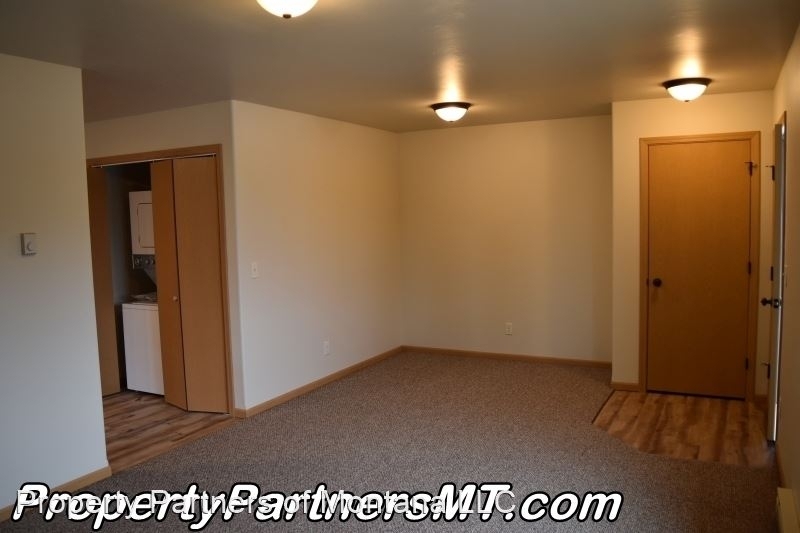 307 E. Madison Ave - Photo 2