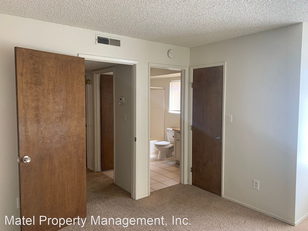 3701 Colonial Dr #217 - Photo 6