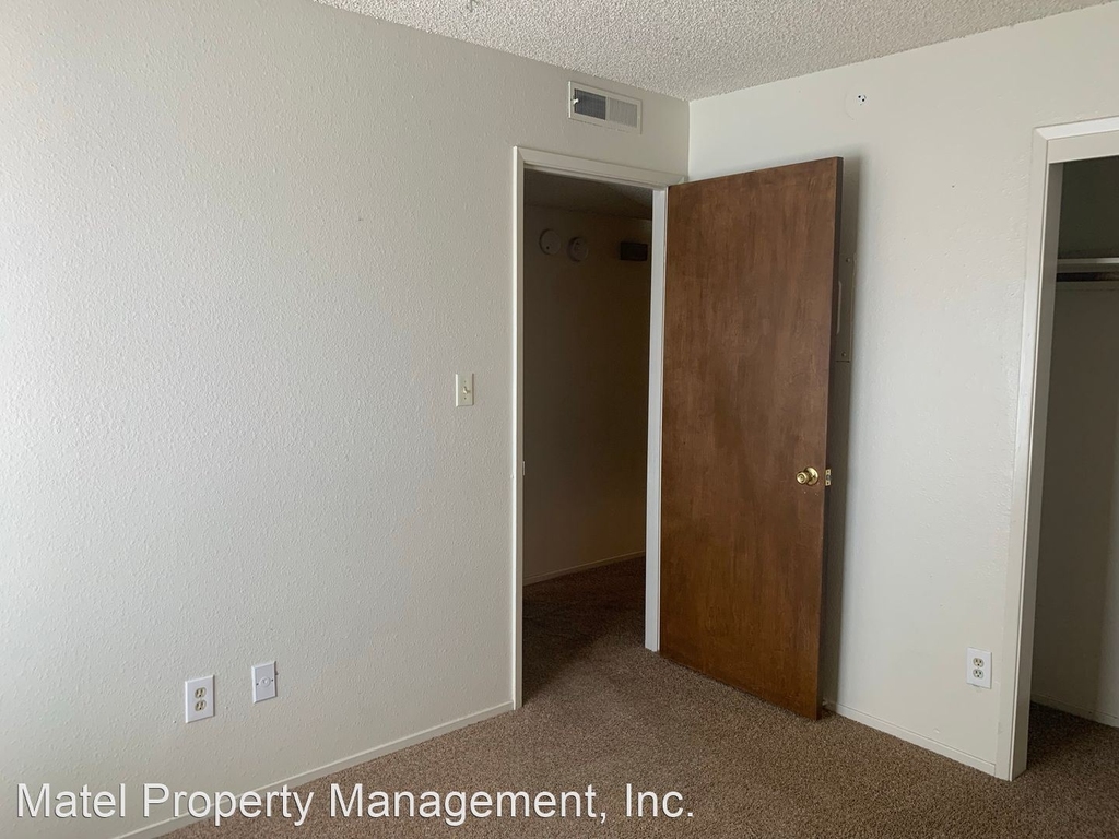 3701 Colonial Dr #217 - Photo 12