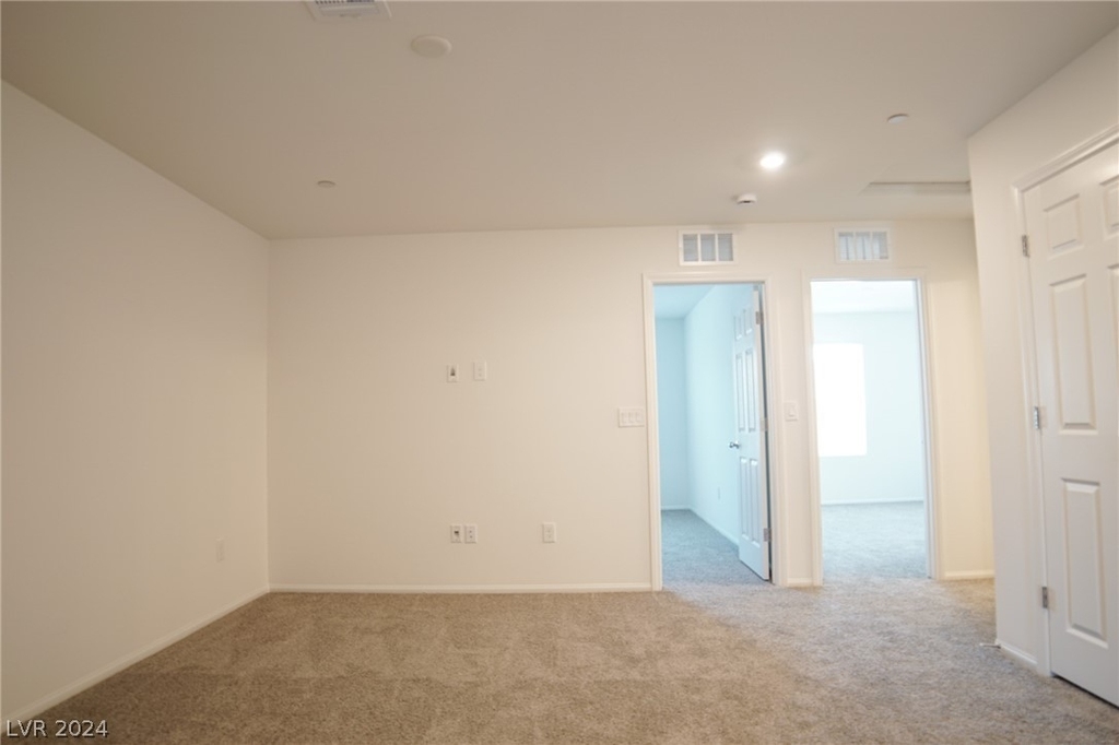 660 Foam Flower Lane - Photo 19