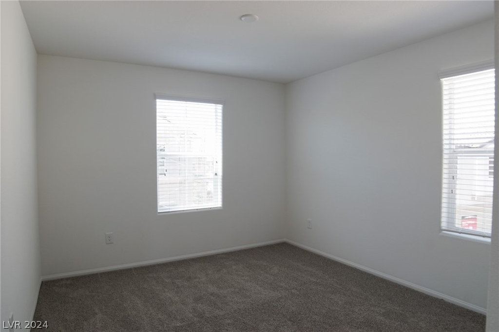 660 Foam Flower Lane - Photo 24