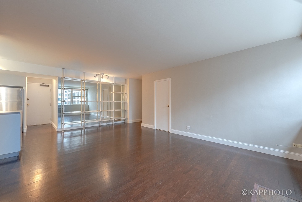 253 E Delaware Place - Photo 2