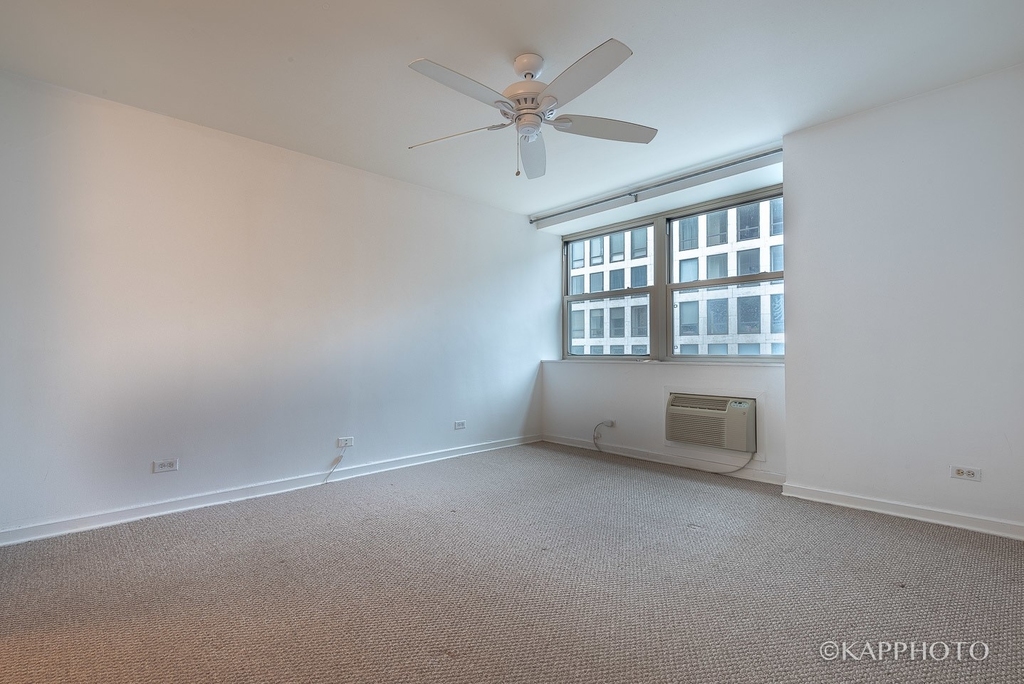 253 E Delaware Place - Photo 11