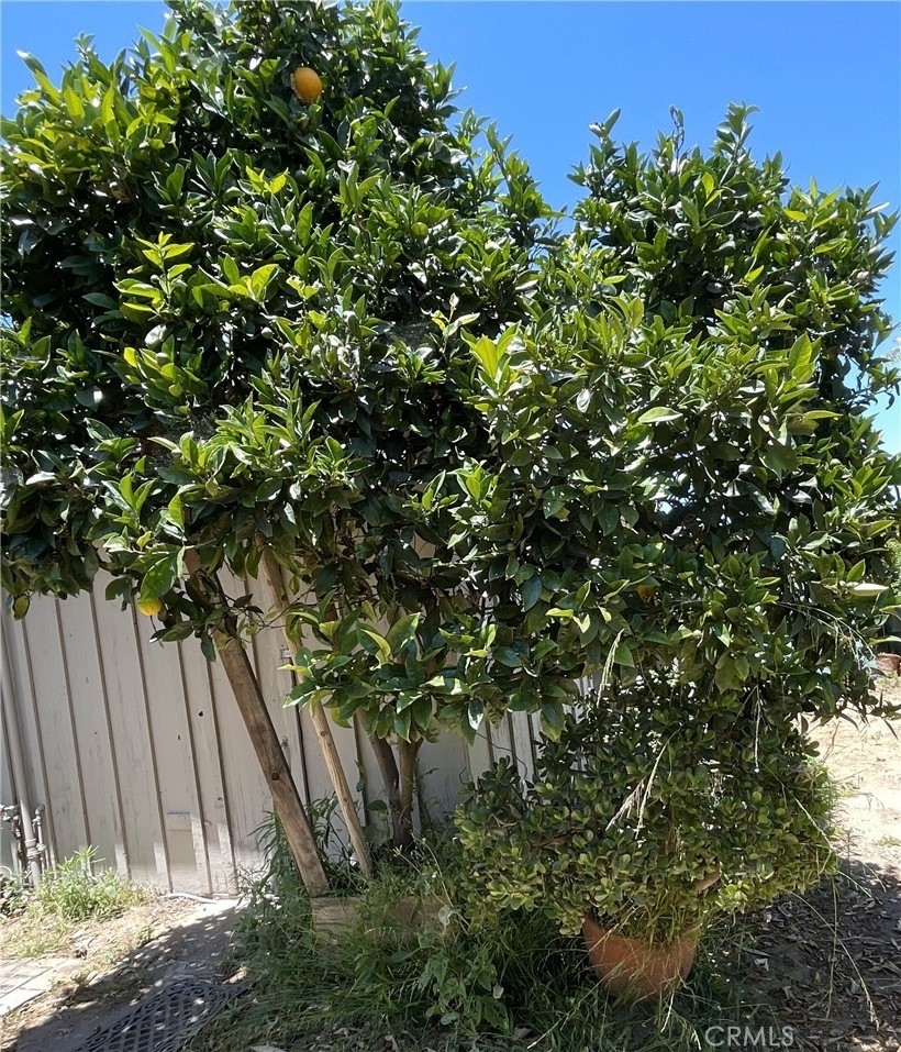 618 San Dieguito Drive - Photo 28