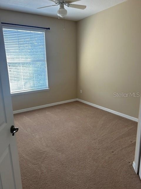 8264 Maritime Flag Street - Photo 12