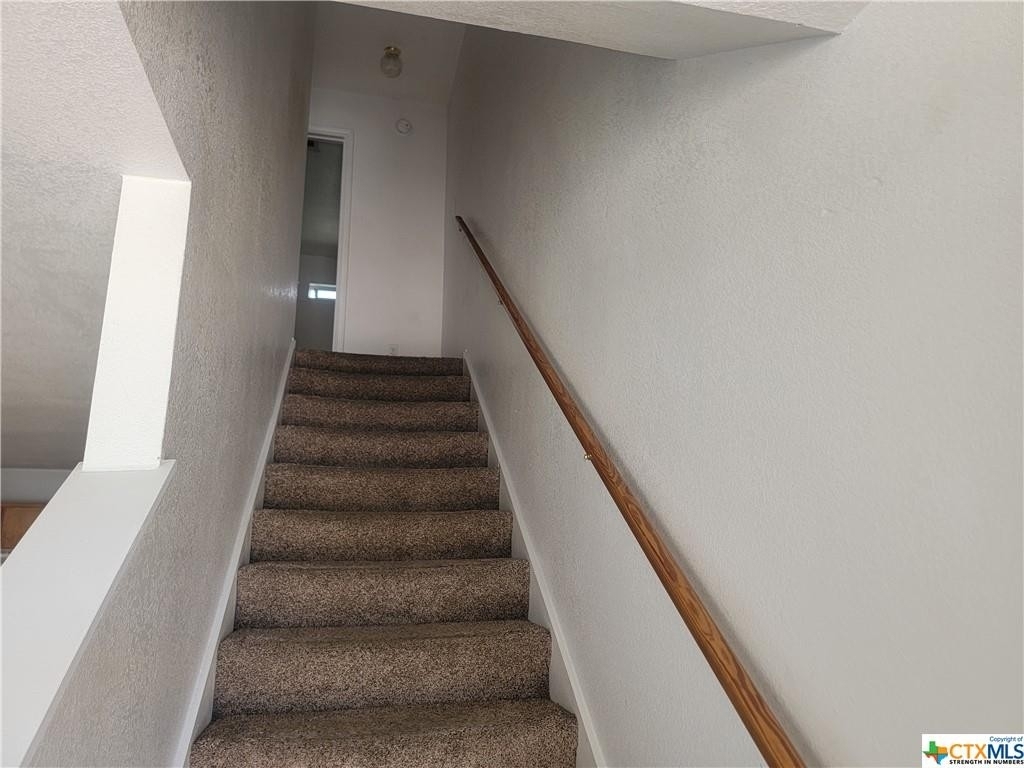 807 Leifester Circle - Photo 8