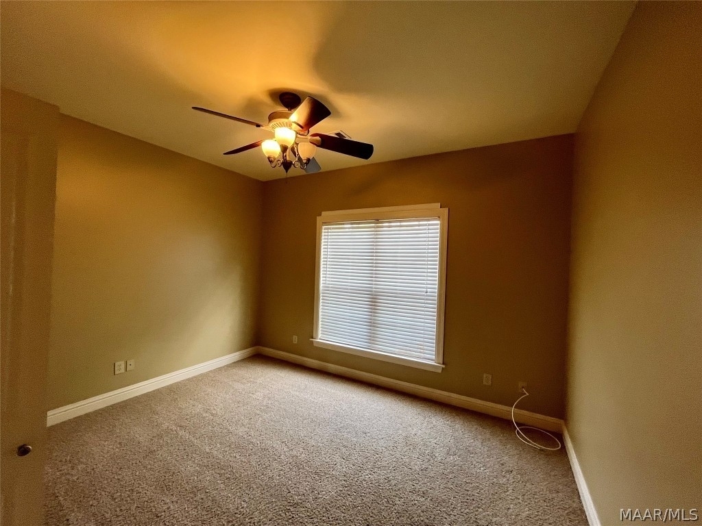 8824 Alderwood Way - Photo 24