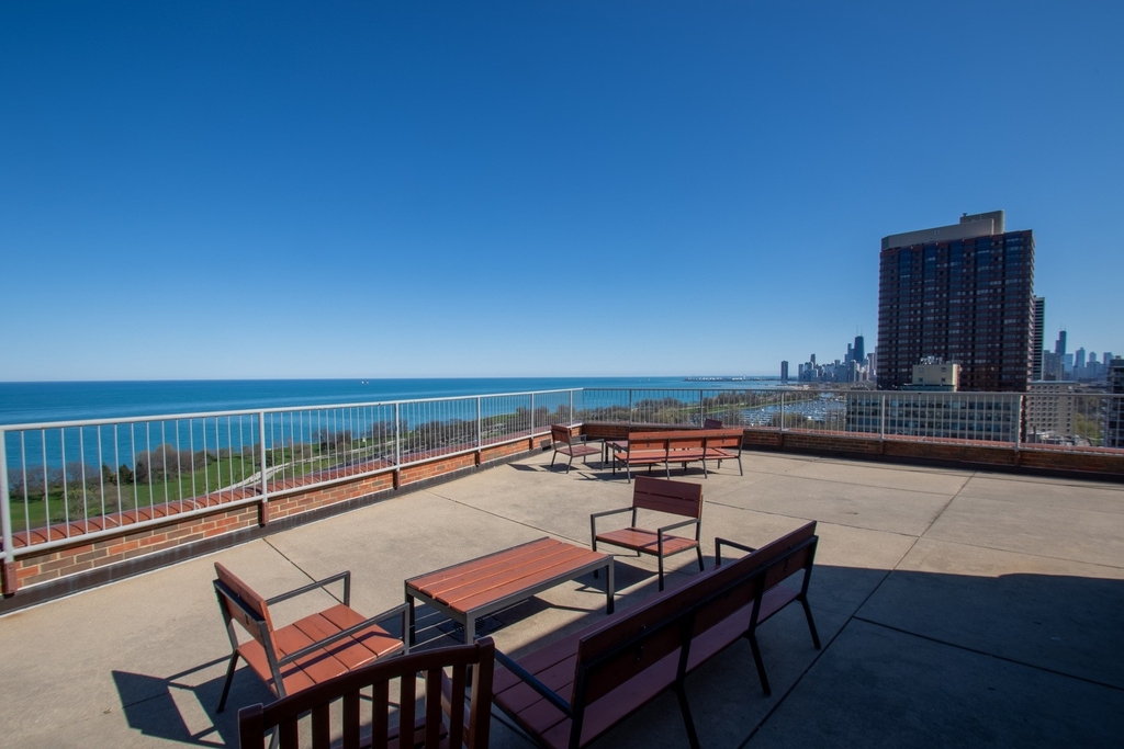 3100 N Lake Shore Drive - Photo 6