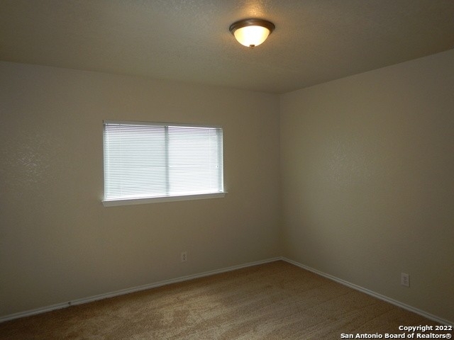 811 Quitman Oak - Photo 16