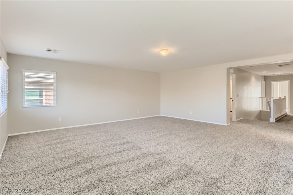 10453 Hartford Hills Avenue - Photo 23