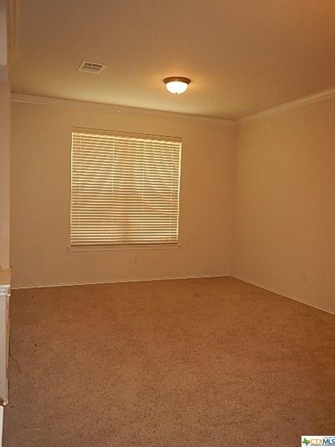 4902 Selenite Court - Photo 1