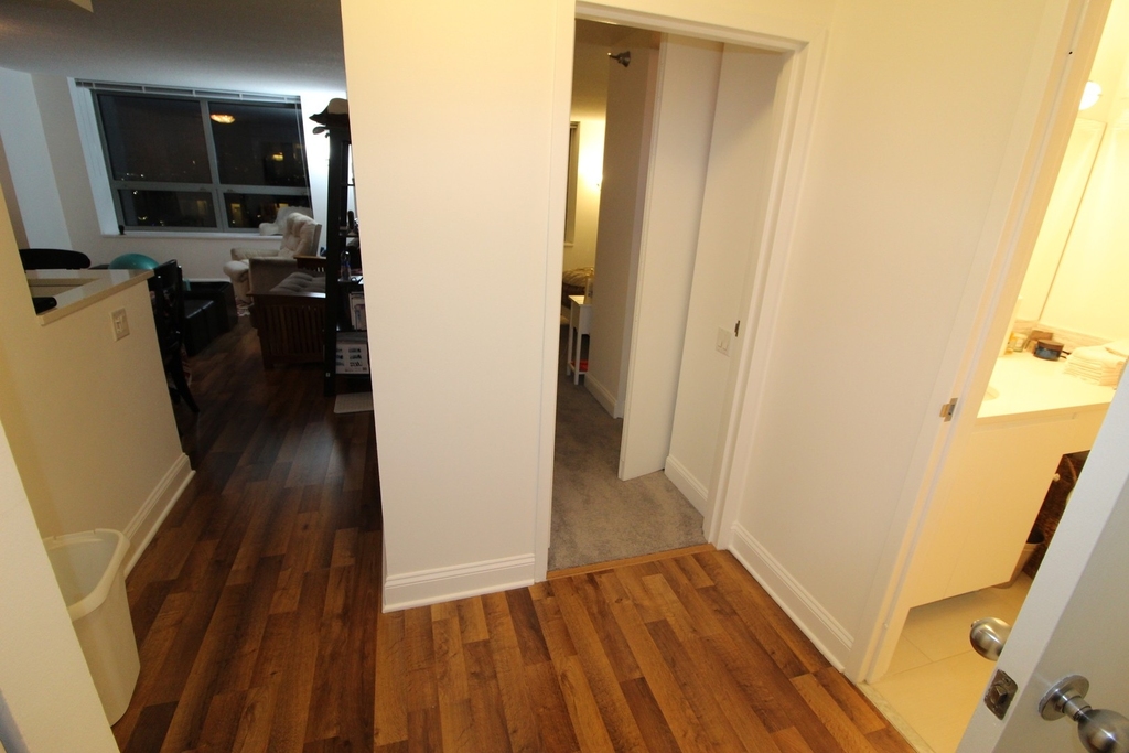 474 N Lake Shore Drive - Photo 10