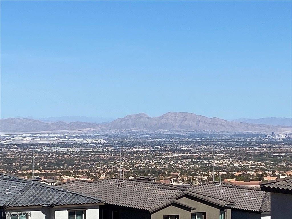 11687 Desert Hollow Avenue - Photo 40