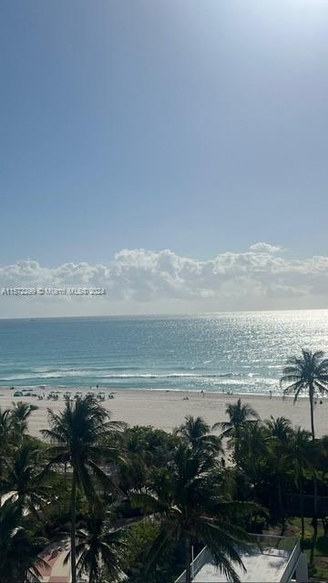 2655 Collins Ave - Photo 6