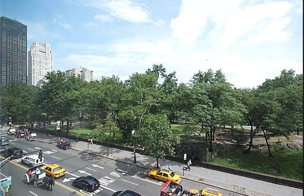 Central Park South - Photo 4