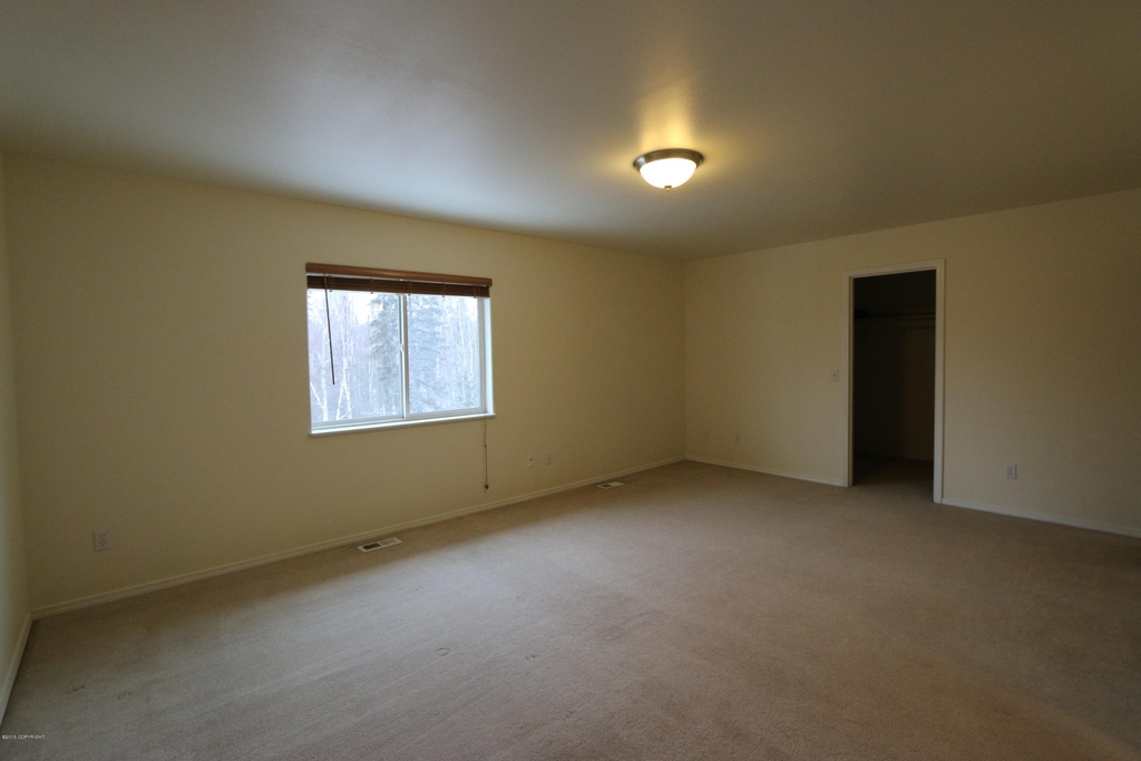 13732 Fire Creek Trail Drive - Photo 4