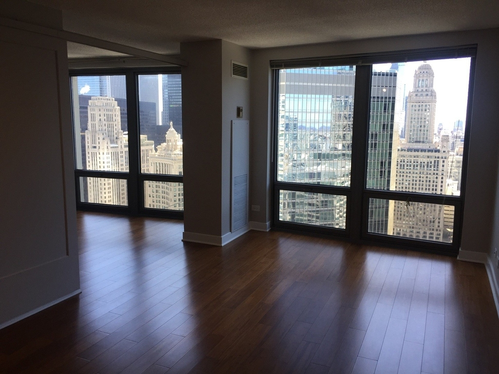 440 N Wabash Avenue - Photo 2