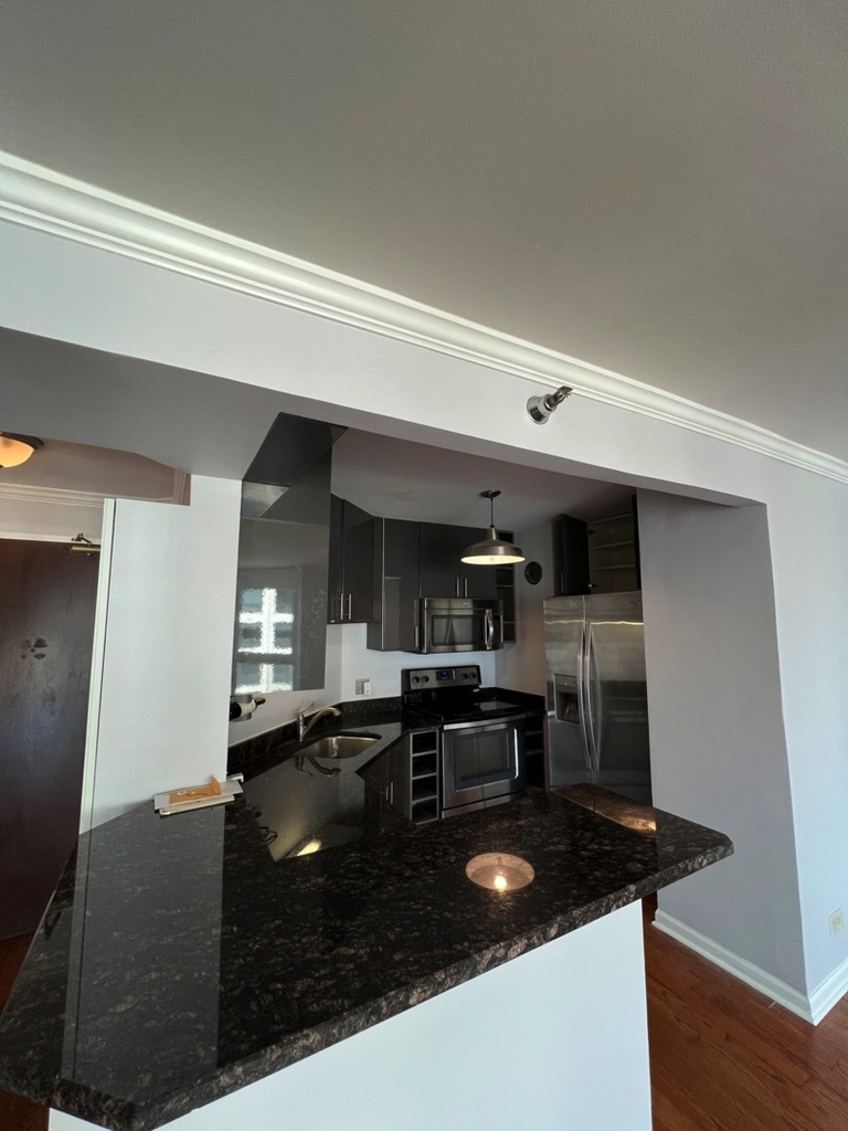 195 N Harbor Drive - Photo 9