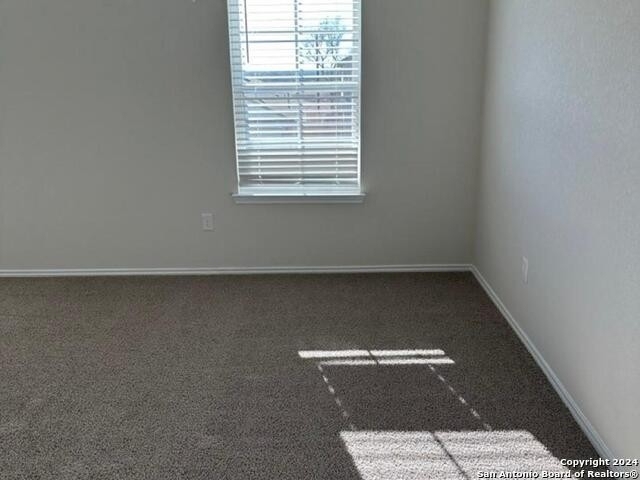 4816 Vogesite Path - Photo 11