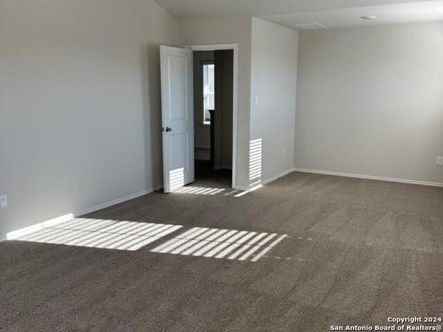 4816 Vogesite Path - Photo 12