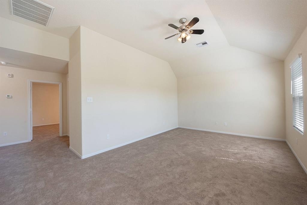 29438 Graceful Path Way - Photo 10