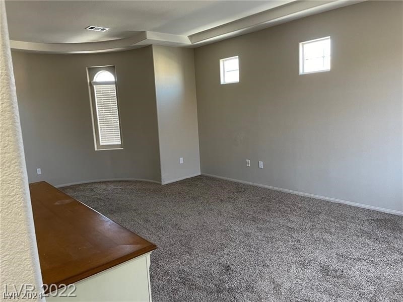 2438 Granada Bluff Court - Photo 11