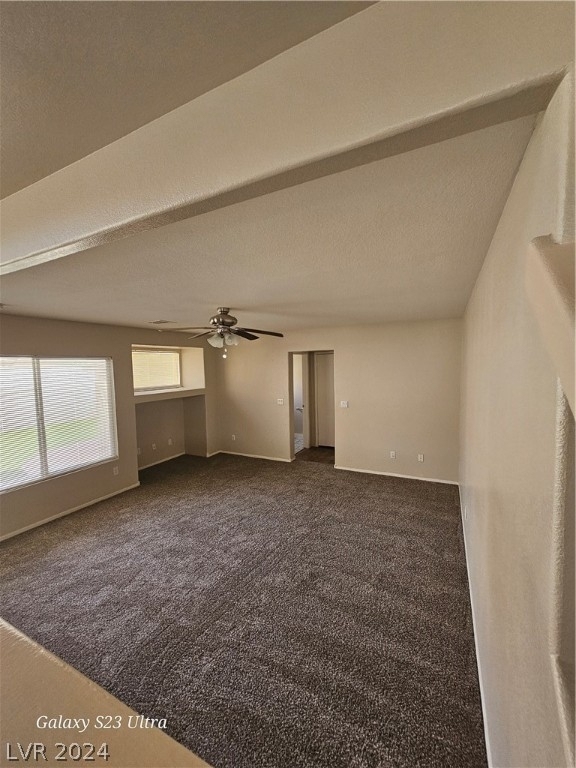 8752 Raindrop Canyon Avenue - Photo 17