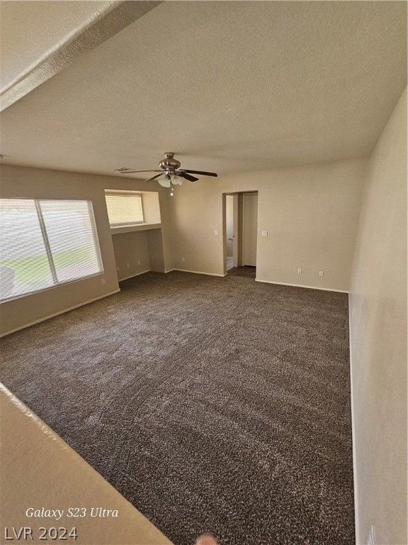 8752 Raindrop Canyon Avenue - Photo 11