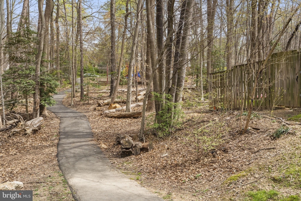 8387 Fern Leaf Court - Photo 24