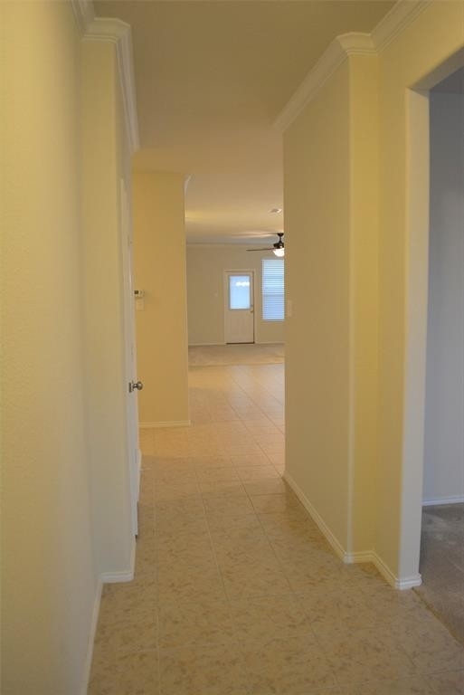 429 Mariscal Place - Photo 12