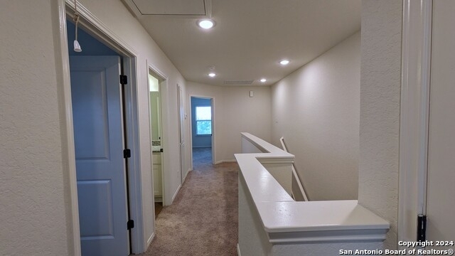 10323 Lynwood Crk - Photo 17