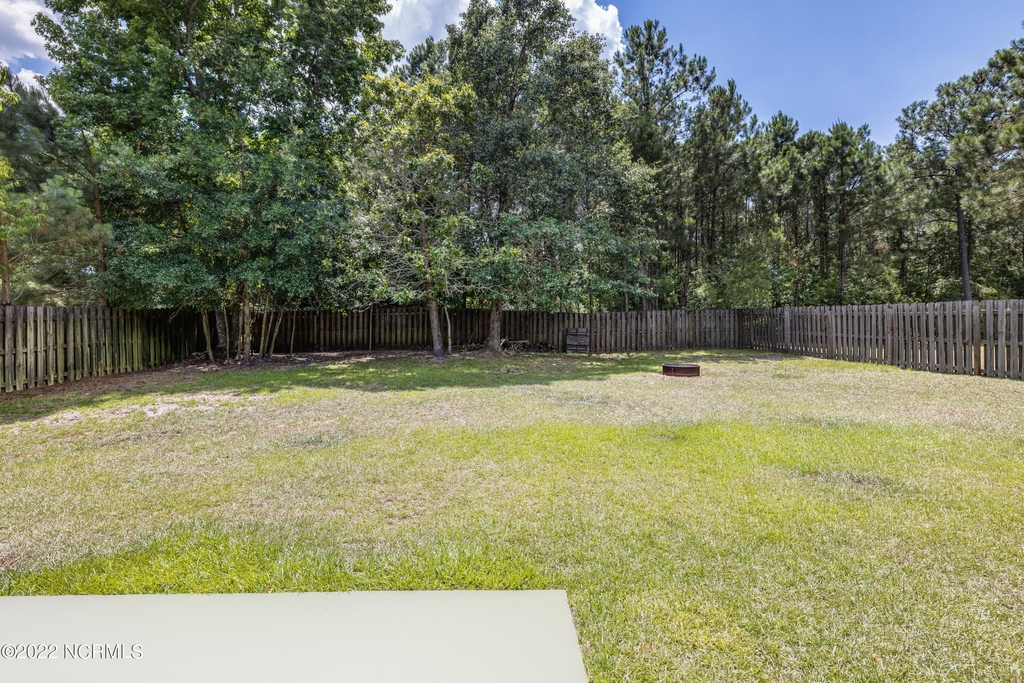 205 Smallberry Court - Photo 18