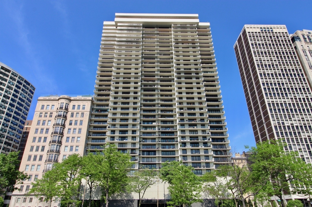 1212 N Lake Shore Drive - Photo 0