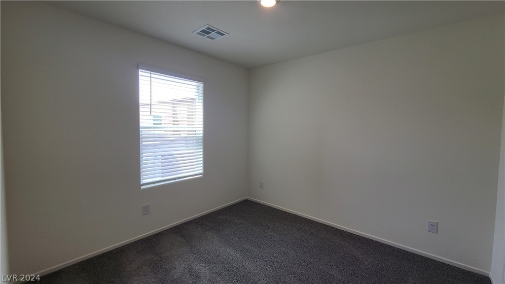 9926 Saffron Hills Street - Photo 25