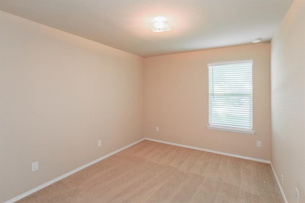 14113 Zavala Trail - Photo 12