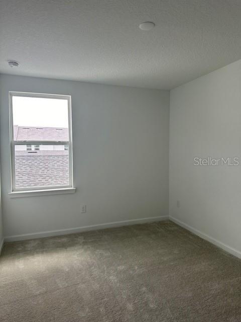 13981 Easdale Alley - Photo 12