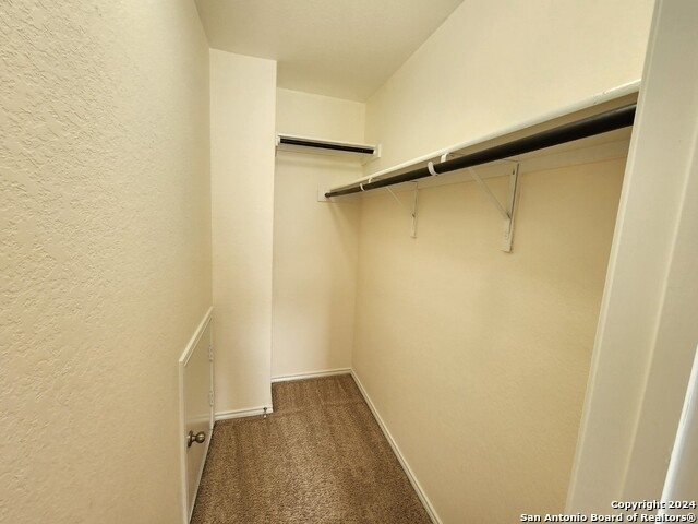 11723 Verdis Valley - Photo 29