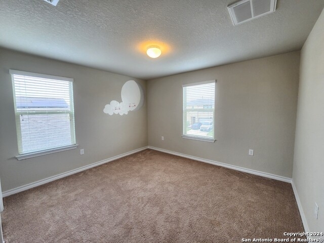 10351 Francisco Way - Photo 27