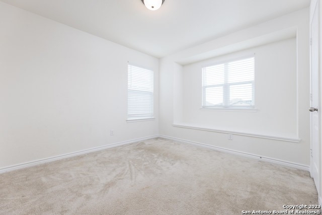 1502 Overlook Bank - Photo 9