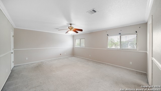 10842 Bentsen Palm - Photo 16