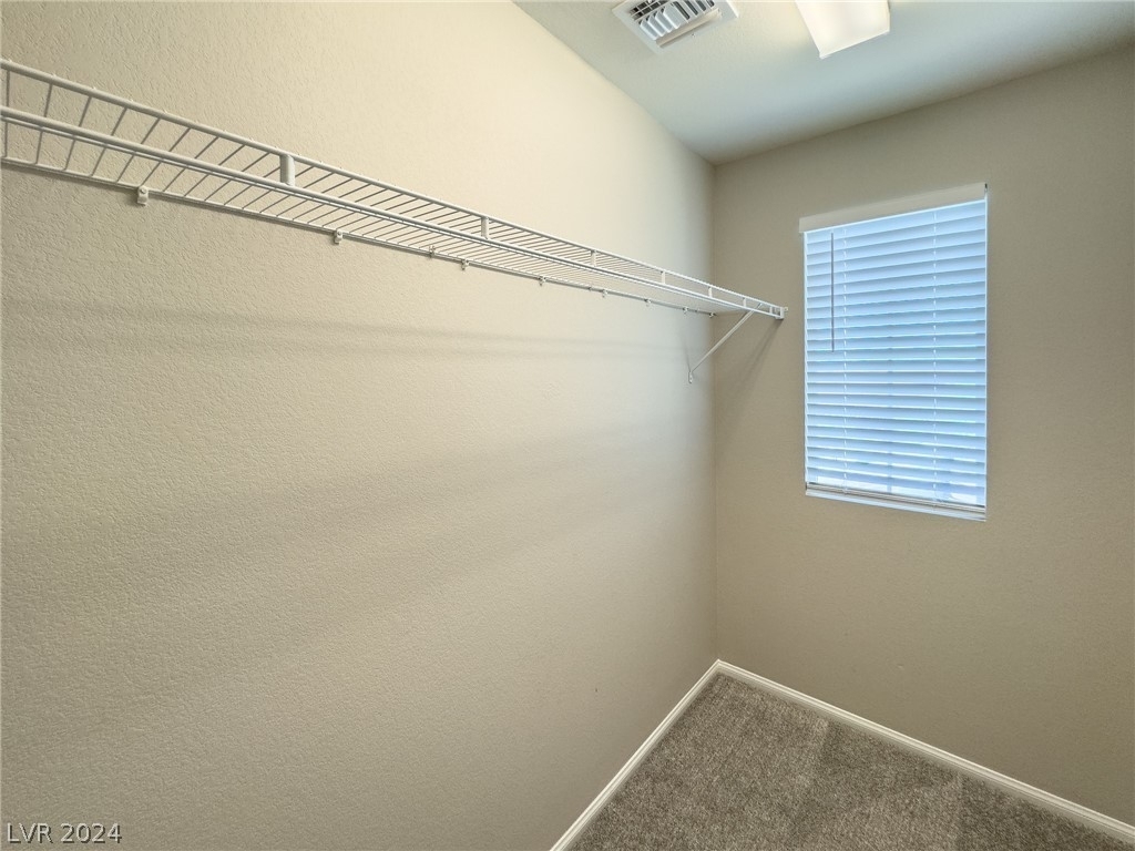 3206 Mckenna Dawn Avenue - Photo 12