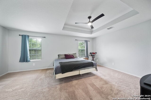 9227 Silver Vista - Photo 14