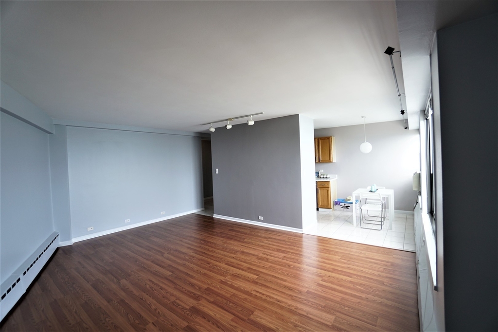 3410 N Lake Shore Drive - Photo 1