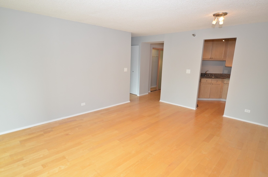 195 N Harbor Drive - Photo 10