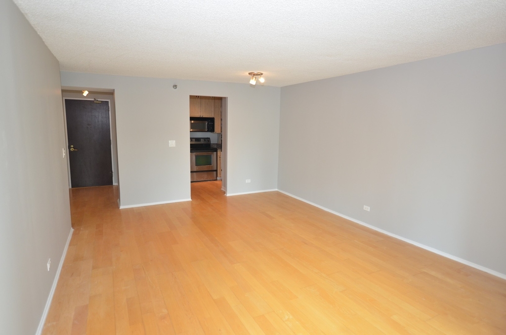 195 N Harbor Drive - Photo 11