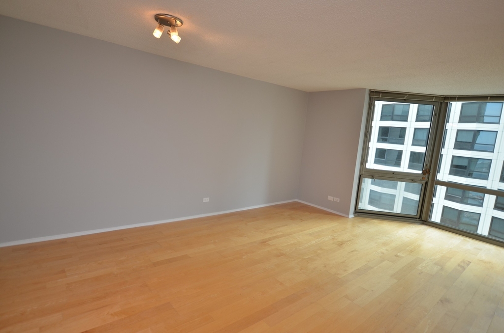 195 N Harbor Drive - Photo 8