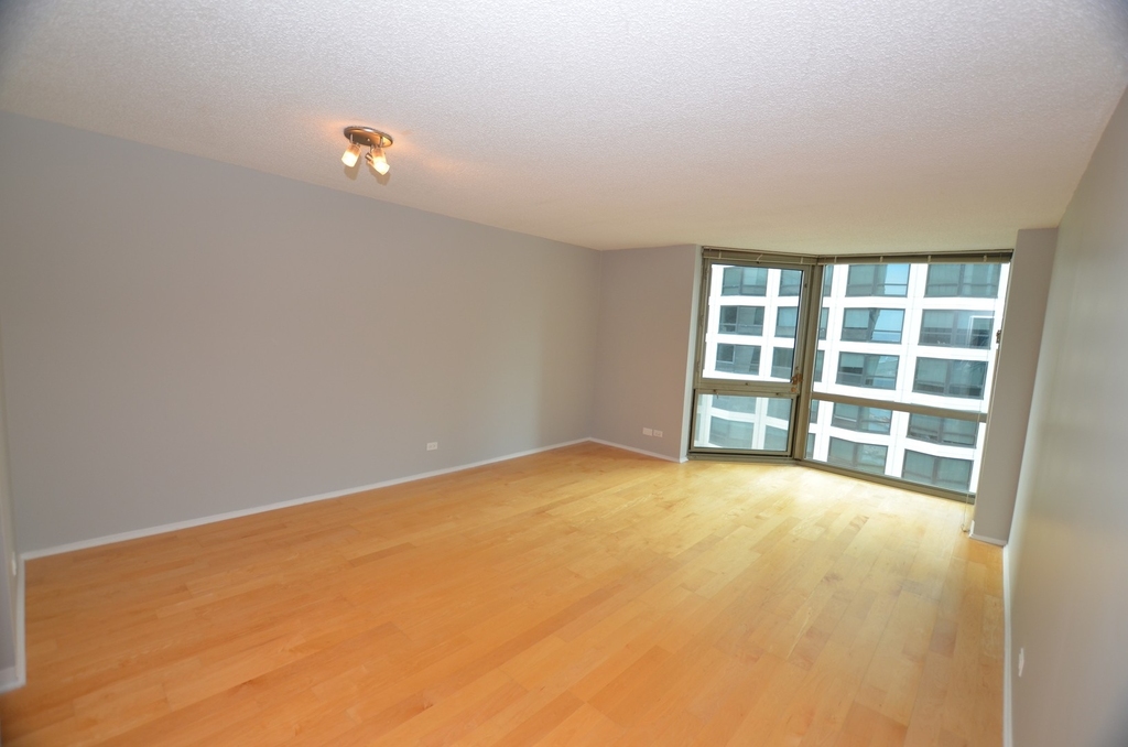 195 N Harbor Drive - Photo 12