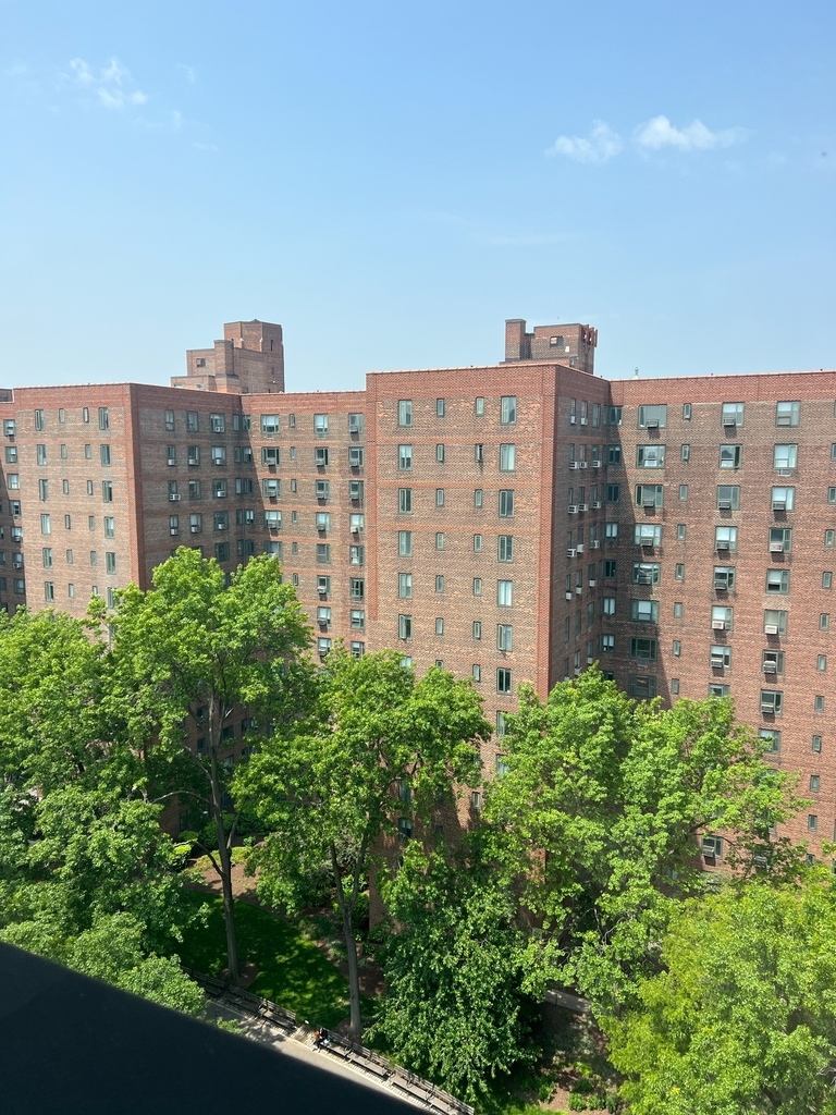 Stuytown - Photo 8