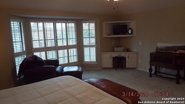 10806 Royal Bluff - Photo 4