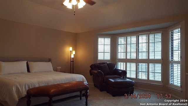 10806 Royal Bluff - Photo 3